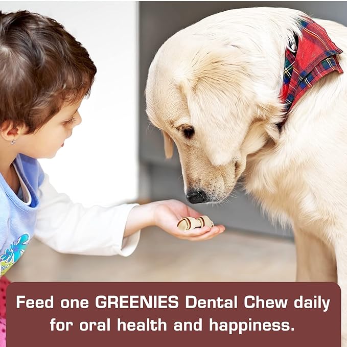 UrbanX HealthyBones Beef Rawhide Free Healthy Mini Chews for West Highland White Terrier and Other Small Terrier Dogs Great Foods for Training Rewards, 7 Count