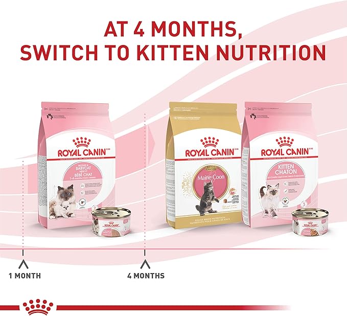 Royal Canin Feline Health Nutrition Mother & Babycat Queen Ultra Soft Mousse in Sauce Cat Food, 3 oz (Pack of 6)