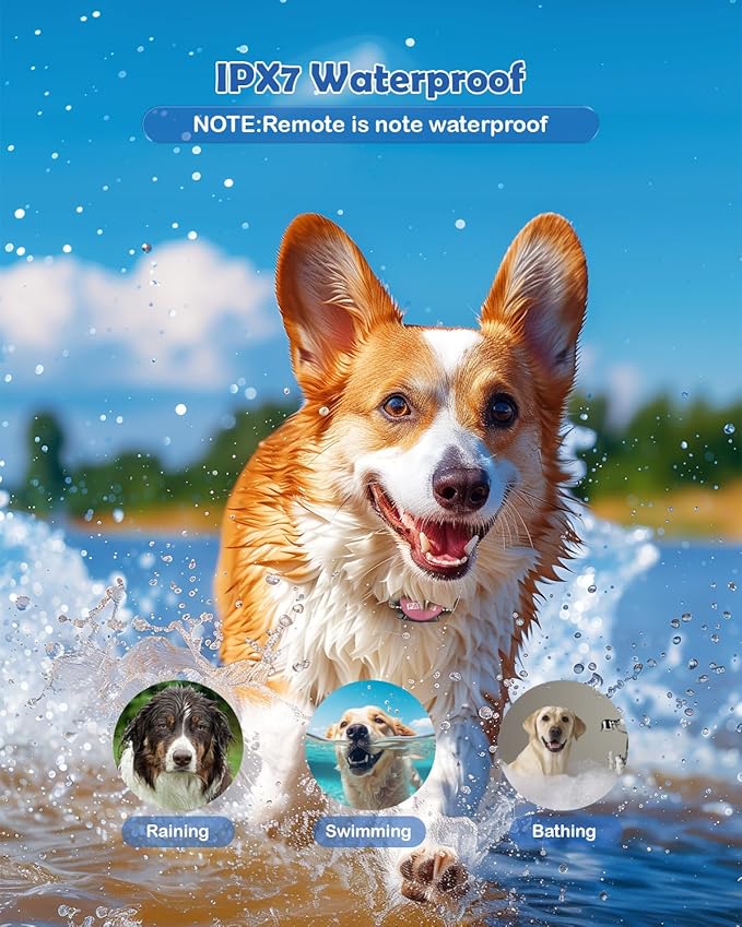 PATPET Dog Training Collar - Rechargeable Dog Training Collar with Remote for Medium Large Dogs 1000Ft Remote Range 3 Training Modes IPX7 Waterproof Pink