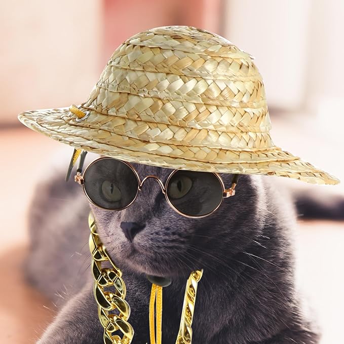 Homoyoyo Pet Dog Accessories Set – Straw Sun Hat with Sunglasses and Necklace, UV Protection Dog Supply for Outdoor Use, Puppy Summer Pet Apparel