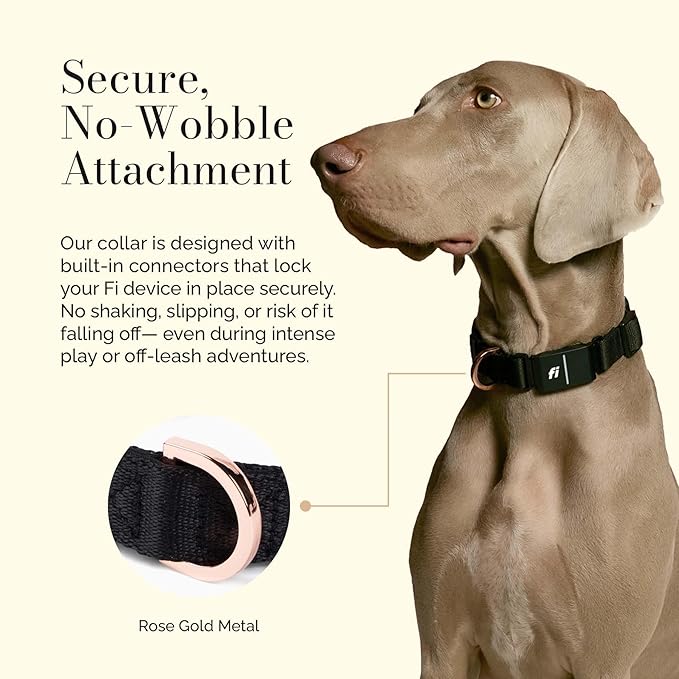The Fi Rockstar Collar - Luxury Design Meets Smart Tech - Crafted for Fi Series 3/3+ - Seamless Style & Craft