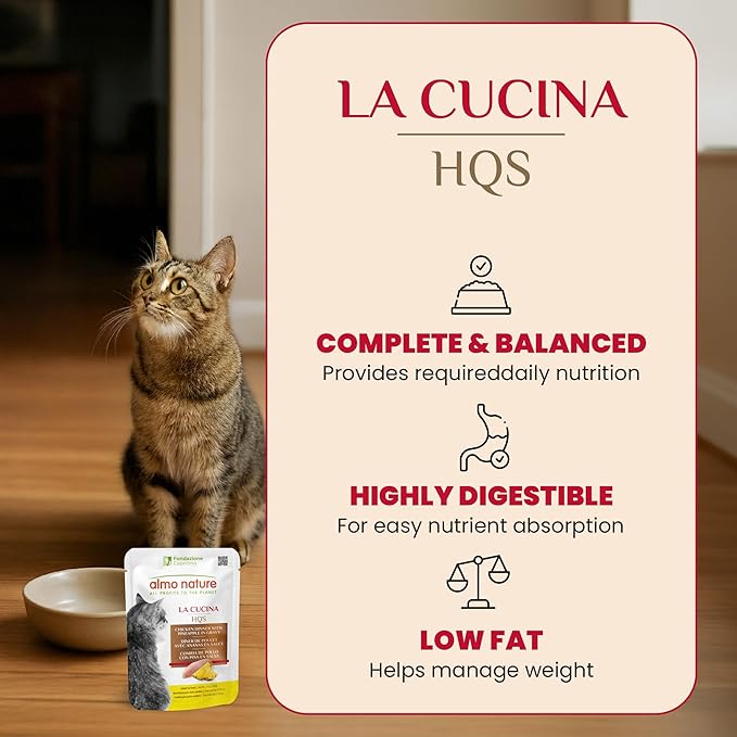 almo nature HQS Complete CAT Wet Cat Food Chicken Dinner with Pineapple in Gravy - Grain-Free Cat Pouch, 1.94 oz (Pack of 12)