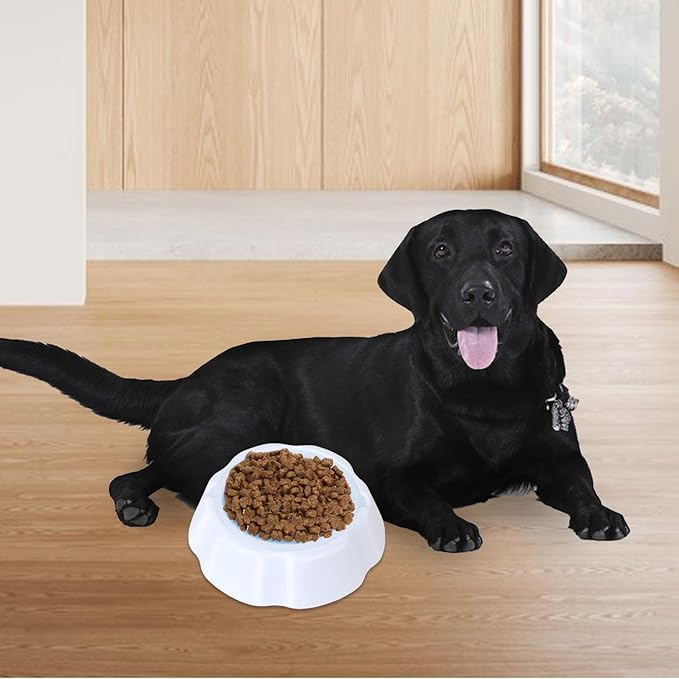 Cool Pup Cooling Pet – Sturdy Functional High-Performance Versatile Bowl Chilling Dog Summer, Lightweight, Supplies Cat Condensation Beads, Ice | Multipurpose Outdoor Indoor Utility