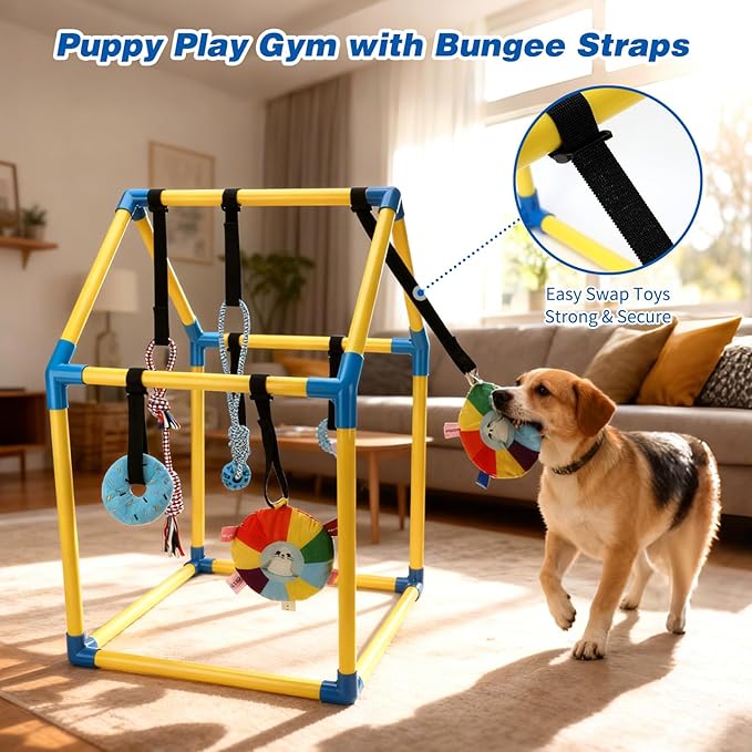 Puppy Play Gym with 8 Hanging Toys, Indoor Jungle Gym Toys for Small Dogs with PVC Frame, Interactive Puppy Toy with Bungee Straps for Entertainment Funny Teething and Mental