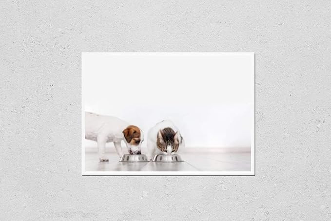 HardPress Wall Art Poster Print of Dog and Cat Eating Food. Puppy Eating Dogs Food. Pets at Home