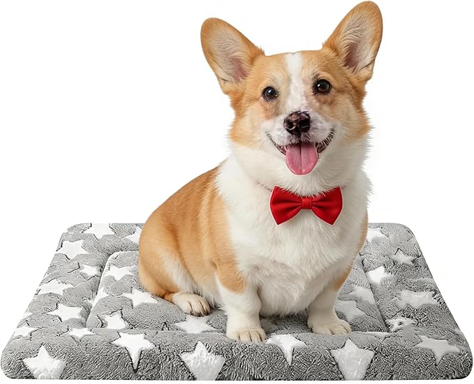 Dog Bed Mat, Reversible Dog Crate Pad - Comfortable Kennel Mat for Dogs & Cats, Machine Washable Dog Bed Suitable for Kennel, Cage or Home Travel(Gray Star, 30" L*20" W*1.5" Th)