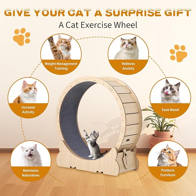 Cat Exercise Wheel for Indoor Cats, 43.3" Cat Running Wheels, Cats Treadmill Wheel with Locking Mechanism & Detachable Carpet, Ideal for Most Pets Weight Loss and Health