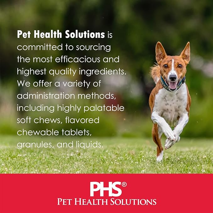 Immune System Support for Cats - Amino Acid L-Lysine - Produce Antibodies - Healthy Tissue, Respiratory Health, Vision - 60 Soft Chews