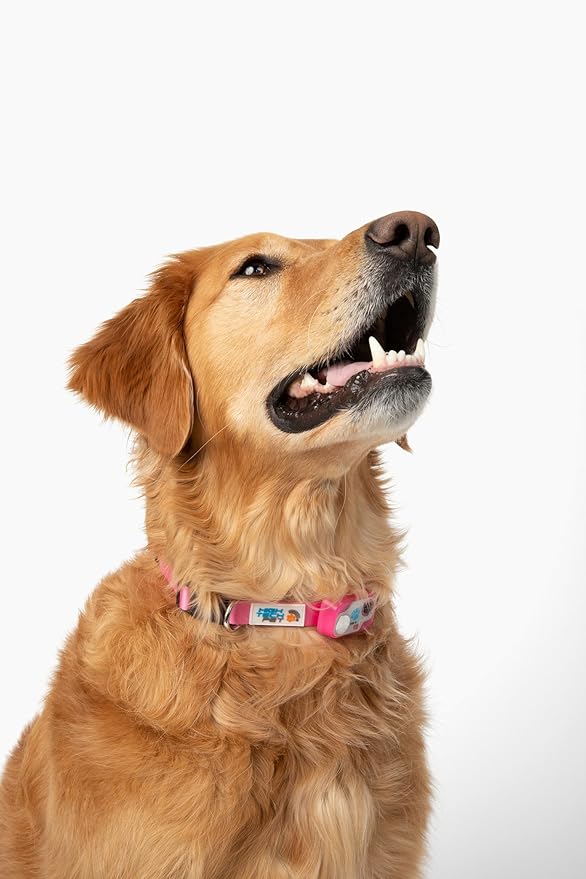 MS-5 Automatic Pet Door Collar, Genuine High Tech Pet Brand Dog Collar for Power Pet Doors - Designer Series, Waterproof, Battery Included (Pink, Dog)