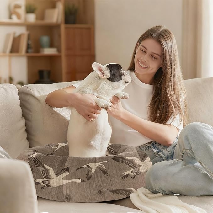 Pet Dog Beds Removable & Washable fluffier Orthopedic Dog Bed for Small Size Pets Supplies Flock Bird Pattern