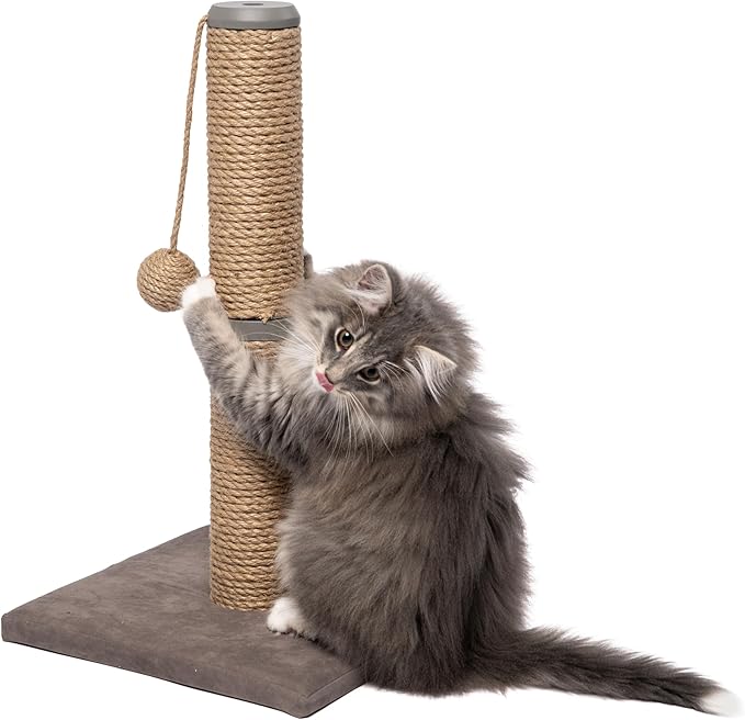 Cat and Kitten Scratch Post w/Dangling Ball 19.5" Tall | for Indoor Use