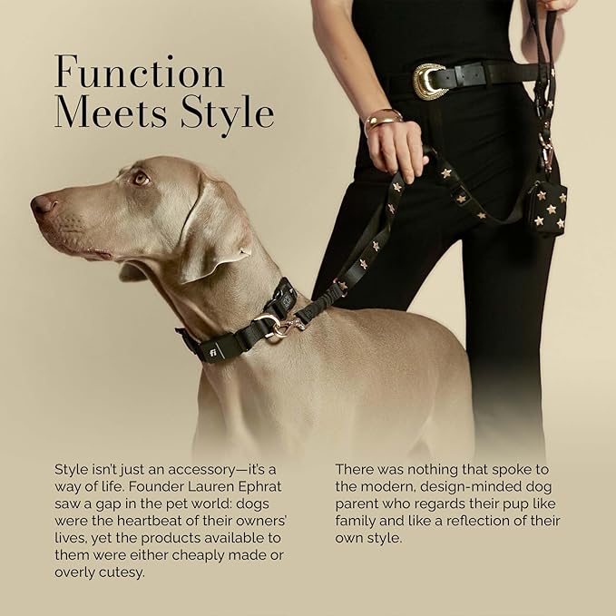 The Fi Rockstar Collar - Luxury Design Meets Smart Tech - Crafted for Fi Series 3/3+ - Seamless Style & Craft