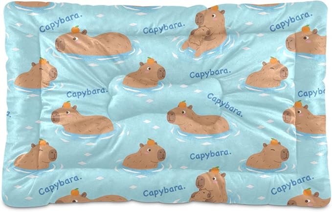 Dog Bed for Crate Washable Pet Sleep Pad, Capybaras Print Kennel Mat with Non-Slip Bottom, Soft Fluffy Supplies Pet for Dogs and Cats (24x18 inch)