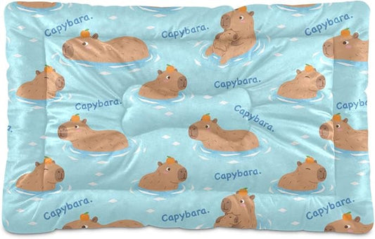 Dog Bed for Crate Washable Pet Sleep Pad, Capybaras Print Kennel Mat with Non-Slip Bottom, Soft Fluffy Supplies Pet for Dogs and Cats (24x18 inch)