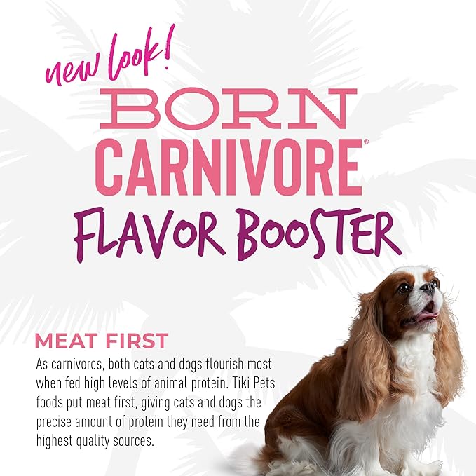 Tiki Dog Born Carnivore Flavor Booster, Salmon Recipe Bisque, Grain Free Meat Based Treat, Meal Topper for All Dog Breeds and All Life Stages, 1.5 oz. Pouch, 12 Count