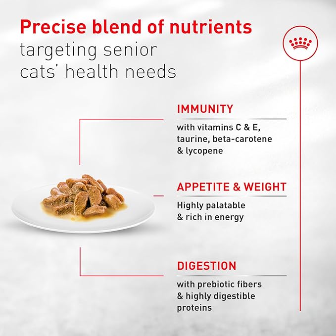 Royal Canin Feline Health Nutrition Aging 11+ Wet Cat Food for Seniors, Thin Slices in Gravy for Cats Over 11 Years, Supports Optimal Health & Vitality, 3 oz can, case of 12