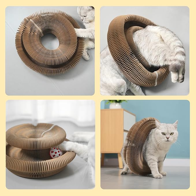 3PCS Kitty Curls Cat Toy,Magic Organ Cat Toy,Cat Scratcher for Grinding Claw Cardboard Cat Toys,Interactive Scratch Pad with Toy Ball