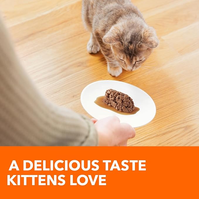 IAMS Perfect Portions Healthy Kitten Grain Free Wet Cat Food Cuts in Gravy,Chicken Recipe,2.6 oz. Easy Peel Twin-Pack Trays (,48 Servings),24 Count (Pack of 2)
