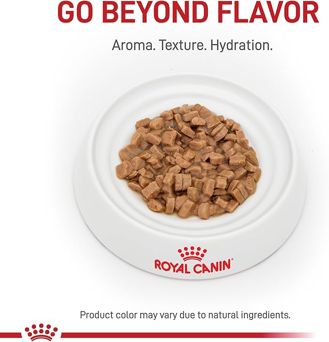 Royal Canin Feline Care Nutrition Hair & Skin Care Adult Thin Slices in Gravy Cat Food, 3 oz (Pack of 24)