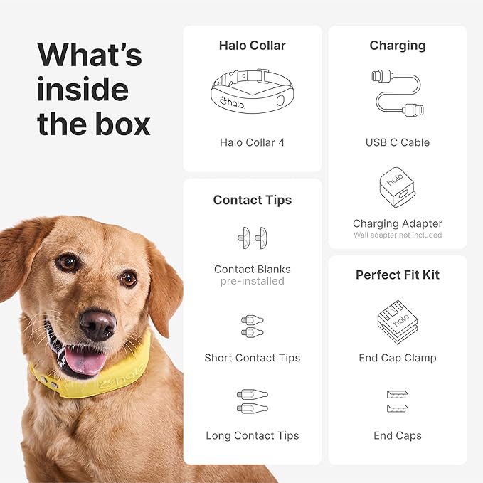 Halo Collar 4, GPS Wireless Dog Fence & Dog Training Collar with GPS Tracker, Subscription Required, Waterproof, Sunburst, One Size