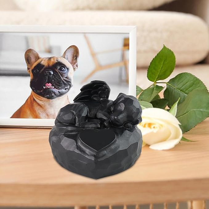Pet Urn Memorial Box for Memories Keepsake Case Supplies Comforting
