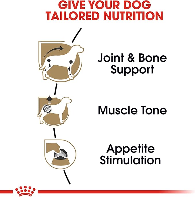 Royal Canin Breed Health Nutrition Dachshund Adult Loaf in Sauce Dog Food, 3 oz (Pack of 24)