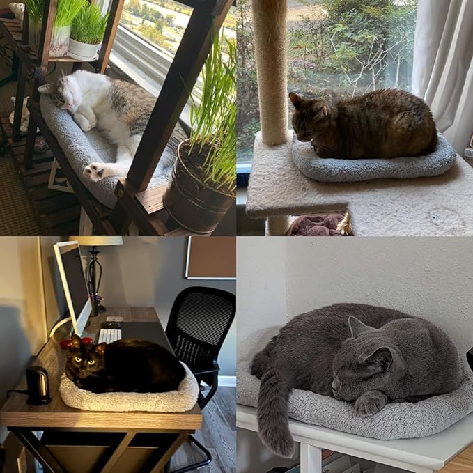 LESYPET Cat Bed for Indoor Cats, Soft Cat Cushion with Cat Pillow Around, Rectangle Kitten Pad Small Bed for Window Sill, 15'' x 10''