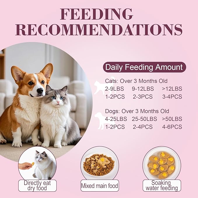Dylan's cabin Freeze Dried Chicken Cat & Dog Treats - High Protein Poached Eggs Bites with Salmon & Pumpkin Training Kitten Puppy Snack for Coat Gut Healthy, 34pcs