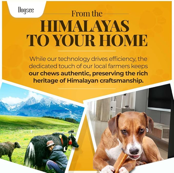 Dogsee Himalayan Yak Chews with Turmeric/Curcumin (XL - 6 Bars, 2lb) | Natural & Long-Lasting | Yak Chews for Large Dogs | Anti-Inflammatory | Supports Oral Hygiene | Rawhide-Free Treats