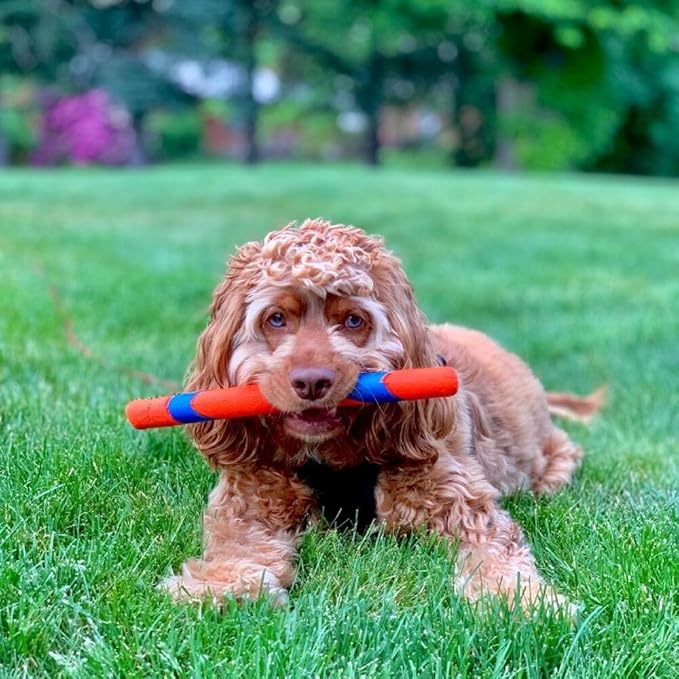 Chuckit! Interactive Dog Toy Ultra Fetch Stick - 12 Inch Outdoor Dog Toy for All Breed Sizes