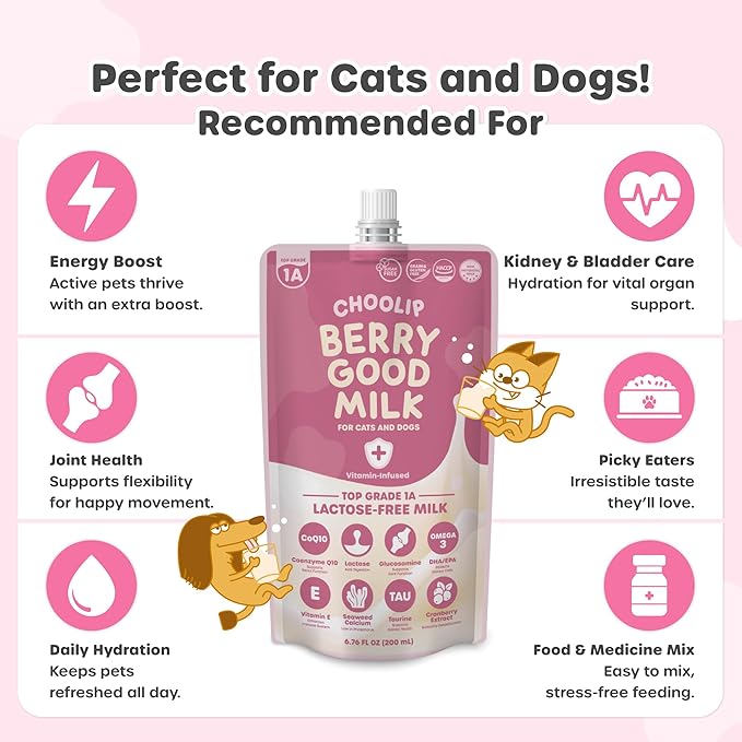 Choolip Bundle | Berry Good Milk 10pk Vitamin-Infused + 49pc Brain Support Squeeze Vita Sticks with Essential multivitamins [Both Products are for Cats & Dogs of All Life Stages]
