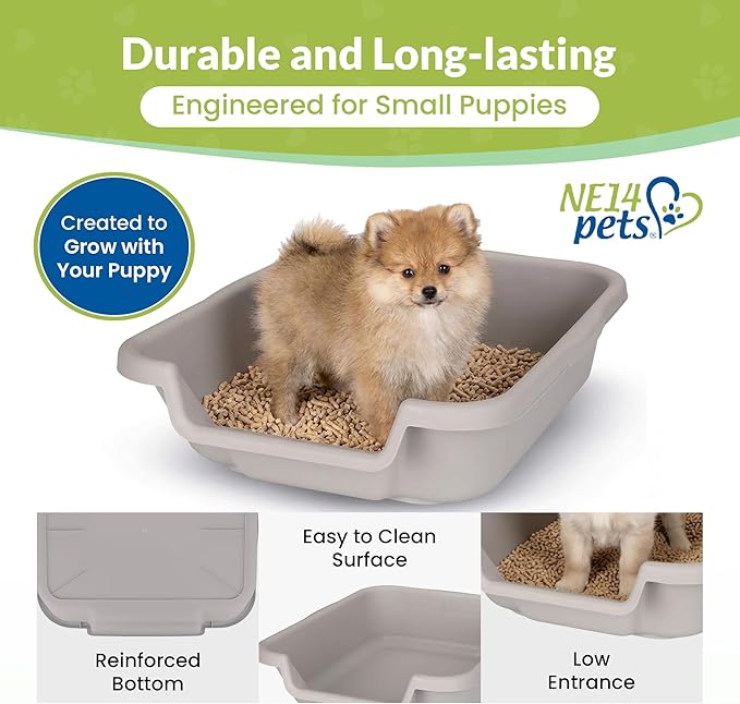 Small Gray Litter Box, Durable & Pet Safe, Open Top Entry, Comfortable for Dogs up to 6 lbs