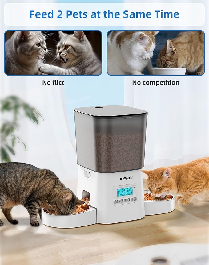 Automatic Cat Feeder, WellToBe 3.5L Timed Dry Food Dispenser for 2 Cats, Dual Power Supply (AC/Battery Backup) with 10-Second Voice Recorder, Programmable Pet Feeder for Multiple Cats