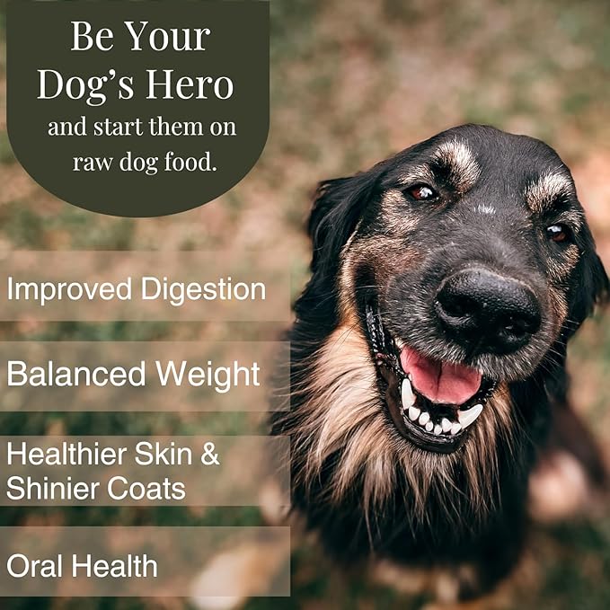 BJ'S RAW PET FOOD Freeze Dried Basic Complete & Balanced Dog Food | Chicken & Beef High-Protein Meal for Optimal Health | Made in USA, 14-Ounce