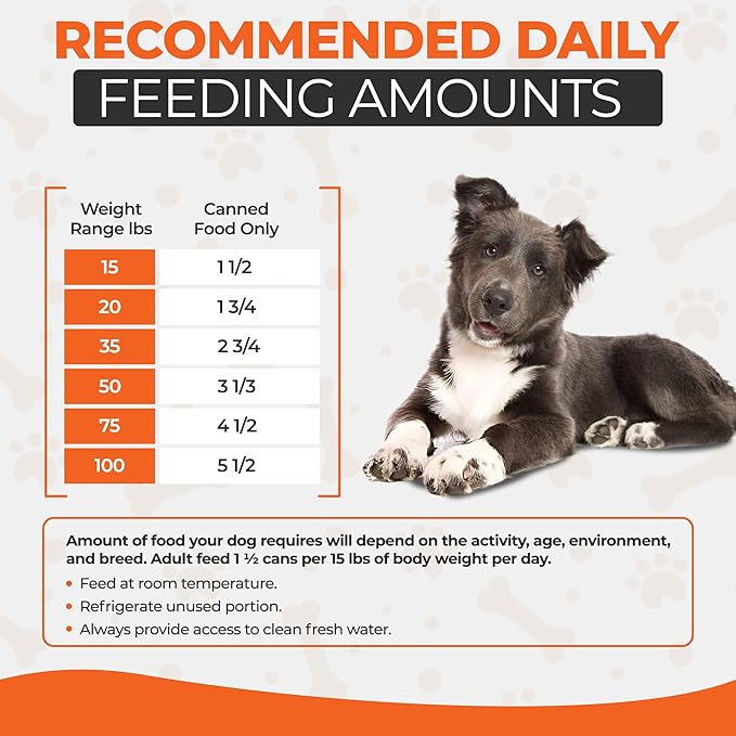 Scoochie Pet Products Chef Scoochie's Duck & Chicken Dog Food in Rich Gravy Natural Wet Food - Easy Open Pop-Top Cans for Grown Dogs - Complete Meal or Food Topper 12 Cans (14 oz e.)