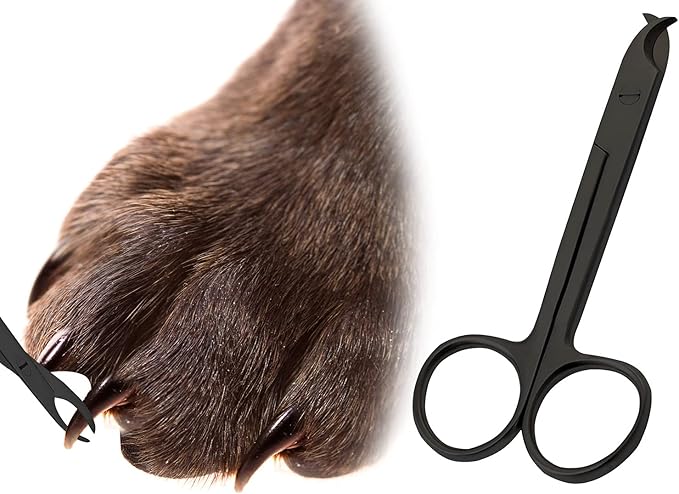 Pet Nail Clippers for Small Animals - Best Cat Nail Clippers & Claw Trimmer for Home Grooming Kit - Professional Grooming Tool for Tiny Dog Cat Bunny Rabbit Bird (Black)