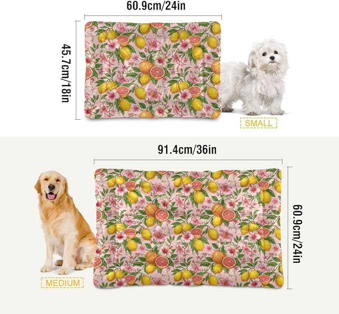 Dog Bed for Crate Washable Pet Sleep Pad, Lime Kennel Mat with Non-Slip Bottom, Soft Fluffy Supplies Pet for Dogs and Cats (36x24 inch)