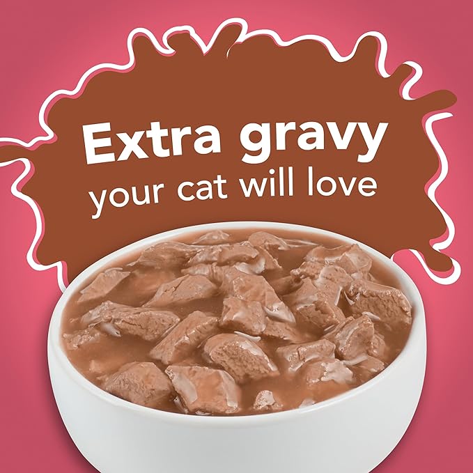 Purina Friskies Extra Gravy Wet Cat Food Chunky With Salmon in Savory Gravy - (Pack of 24) 5.5 oz. Cans