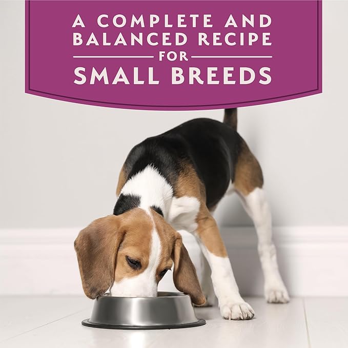 Natural Balance Limited Ingredient Small Breed Adult Wet Dog Food, Lamb & Brown Rice Recipe for Sensitive Stomachs - 3.5oz Cups (Case of 12)