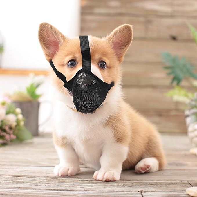 VOSAREA Professional Dog Muzzle Breathable Mesh Soft Mouth Cover Anti-Biting No Barking Muzzle for Large Dogs Black S Size Comfortable Pet Supply Training Grooming