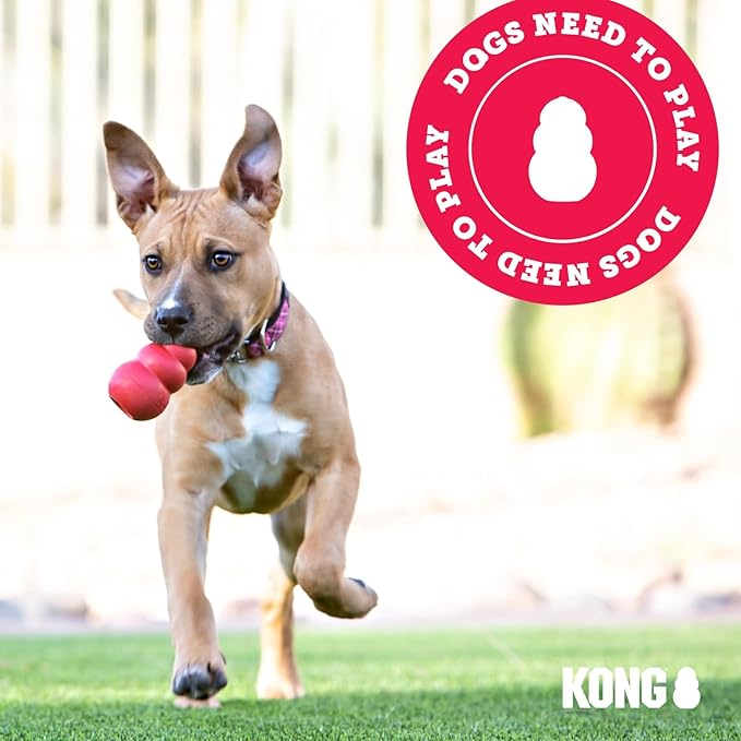 KONG Extreme Tires - KONG's Most Durable Natural Rubber Chew & Fetch Toy - Treat Dispenser Dog Tire Toy - Pet Supplies for Outdoor & Indoor Play - For Small Dogs