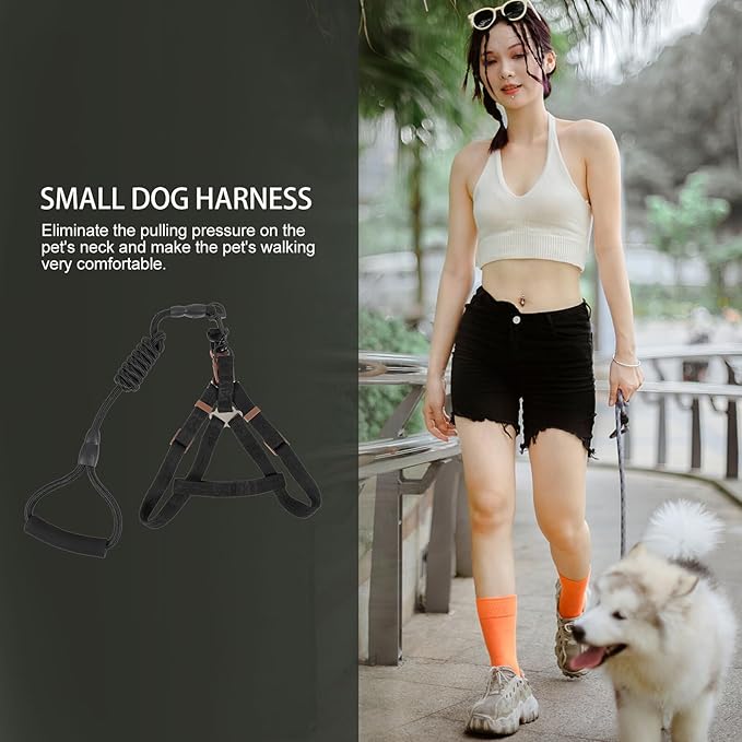 GANAZONO Dog Harness Leash Set with Nylon Leash 1.0x120cm Reflective Pet Walking Supplies for Outdoor Use Adjustable Puppy Vest for Small and Medium Dogs