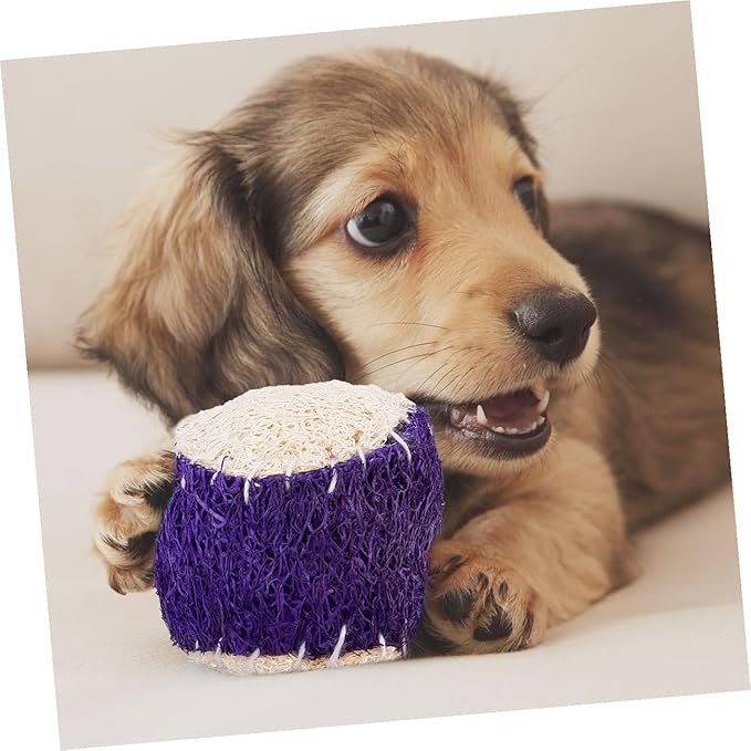 OUNONA 2pcs Natural Loofah Dog Chew Tennis Ball Pet Chewing Training Balls for Puppies Interactive Sturdy Dog Training Supplies Random Color
