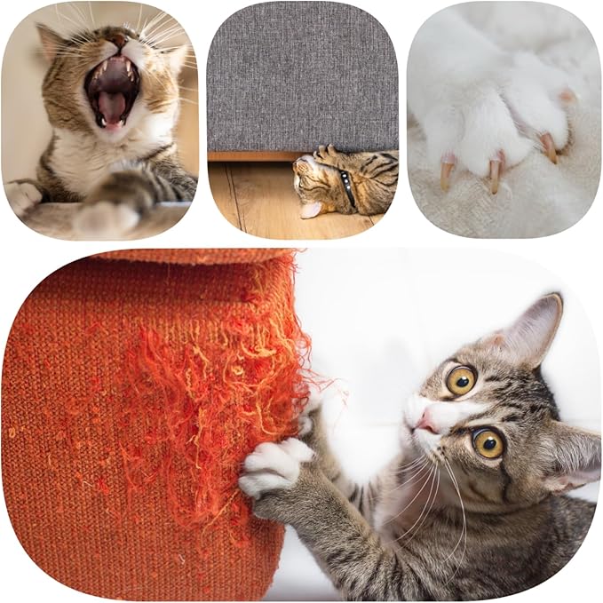 Circular Cat Scratch Board with Balls, Corrugated Cardboard Interactive Toy, 13 Inch Round Grinding Post with Ball Track, No-Shed Design