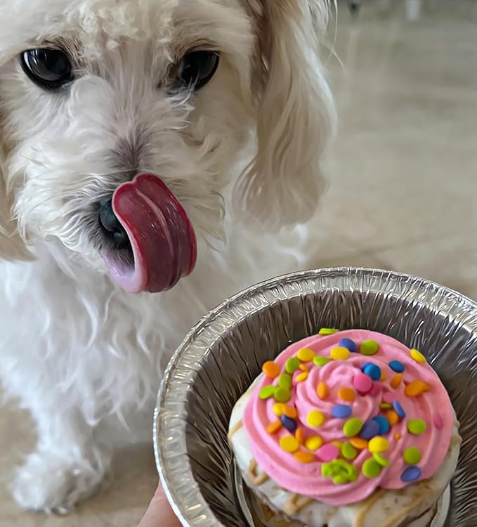 Dog Birthday Cake- Pink Petit Four Cake- Bad to the Bone by Dezicakes- Perfect Dog Party Cake Boxed & Decorated- Natural Ingredients -Peanut Butter Apple Cinnamon Birthday Cake- Handmade in USA