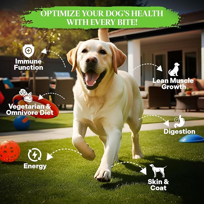 Healthy Dogma - PetMix Dehydrated Dog Food, Clean Ingredient Food - No Preservatives, Homemade Dog Food (Super Green, 10 lbs)