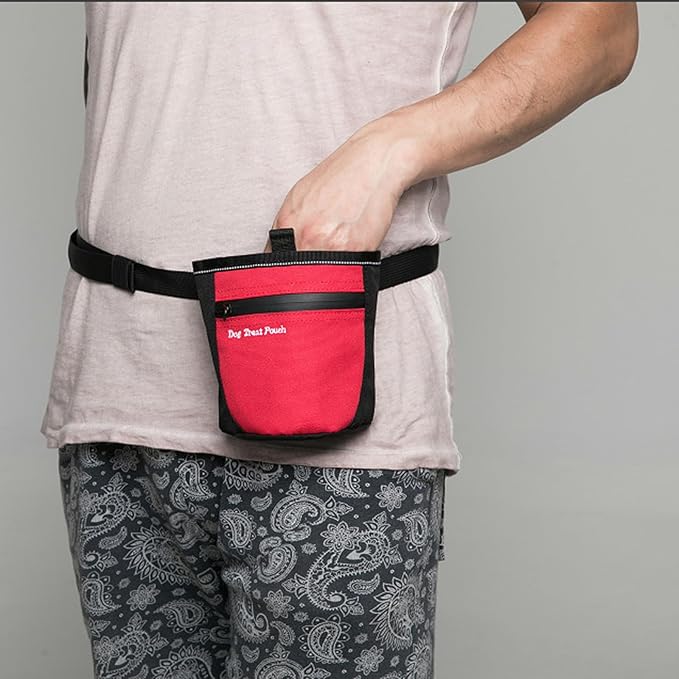 Portable Pet Training Waist Bag Treats Bag for Outdoor Walking Running Use with Zippered Pocket and Adjustable Belt Dog Gear Pet Supply Dog Gear