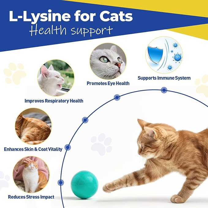 L-Lysine Supplement for Cats,Easy-Dispense Oral Gel in Syringe, Immune and Respiratory Support, Lysine for Cats and Kittens,Eases Cat Sneezing and Allergy Relief–Chicken Flavor,3.7oz