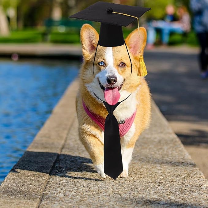 Dog Graduation Necktie and Pet Doctoral Hat Set, Decorative Puppy Tie and Graduation Cap Costume Accessories for Dogs and Cats, Party Apparel for Pet Supplies