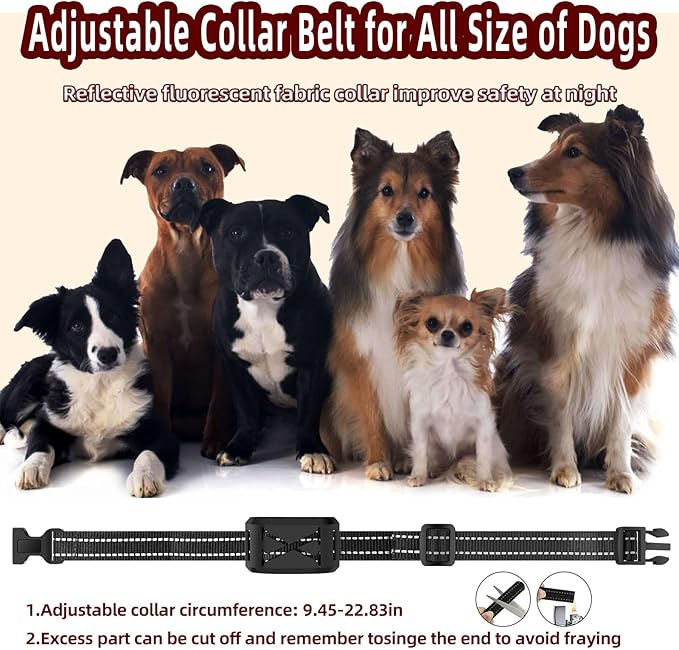 Wireless Dog Fence System for 2 Dogs, 2026 Upgraded 2-in-1 Wireless Fence & Remote Training Collar, Waterproof Perimeter Dog Collar, Adjustable Levels for Outdoor Yard Training